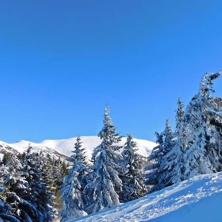 Stara Planina Vila Vesela Kuca Jalovik Izvor Exterior foto
