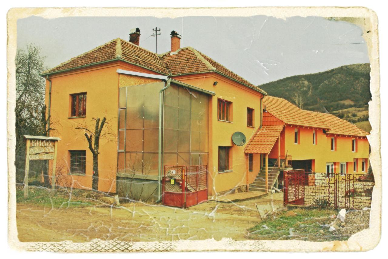 Stara Planina Vila Vesela Kuca Jalovik Izvor Exterior foto